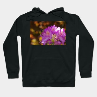 BAD RAP ON RHODODENDRONS Hoodie